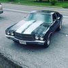wrightdylan439